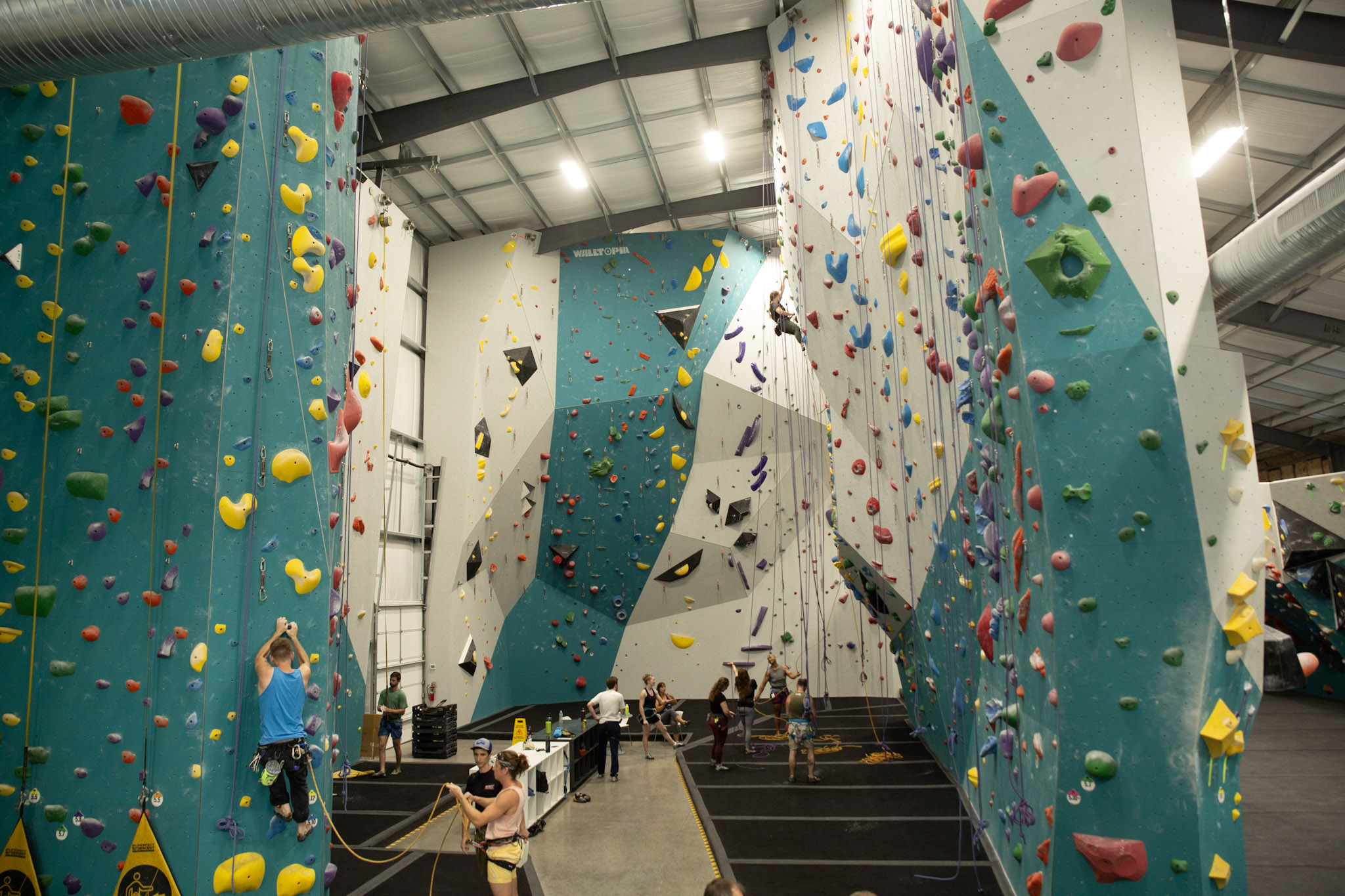 Climbers on the tall teal rope walls inside Send It Climbing Gym in Norfolk, VA